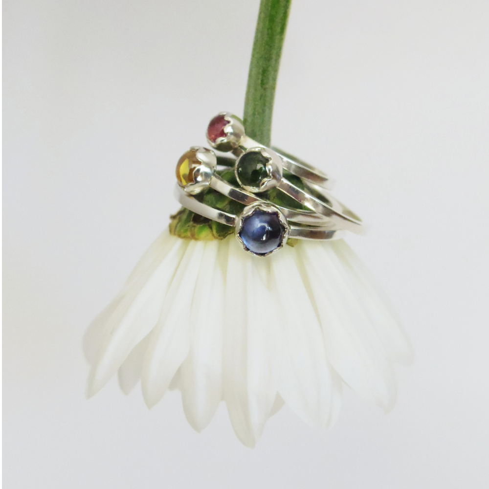 Anillo Jardín