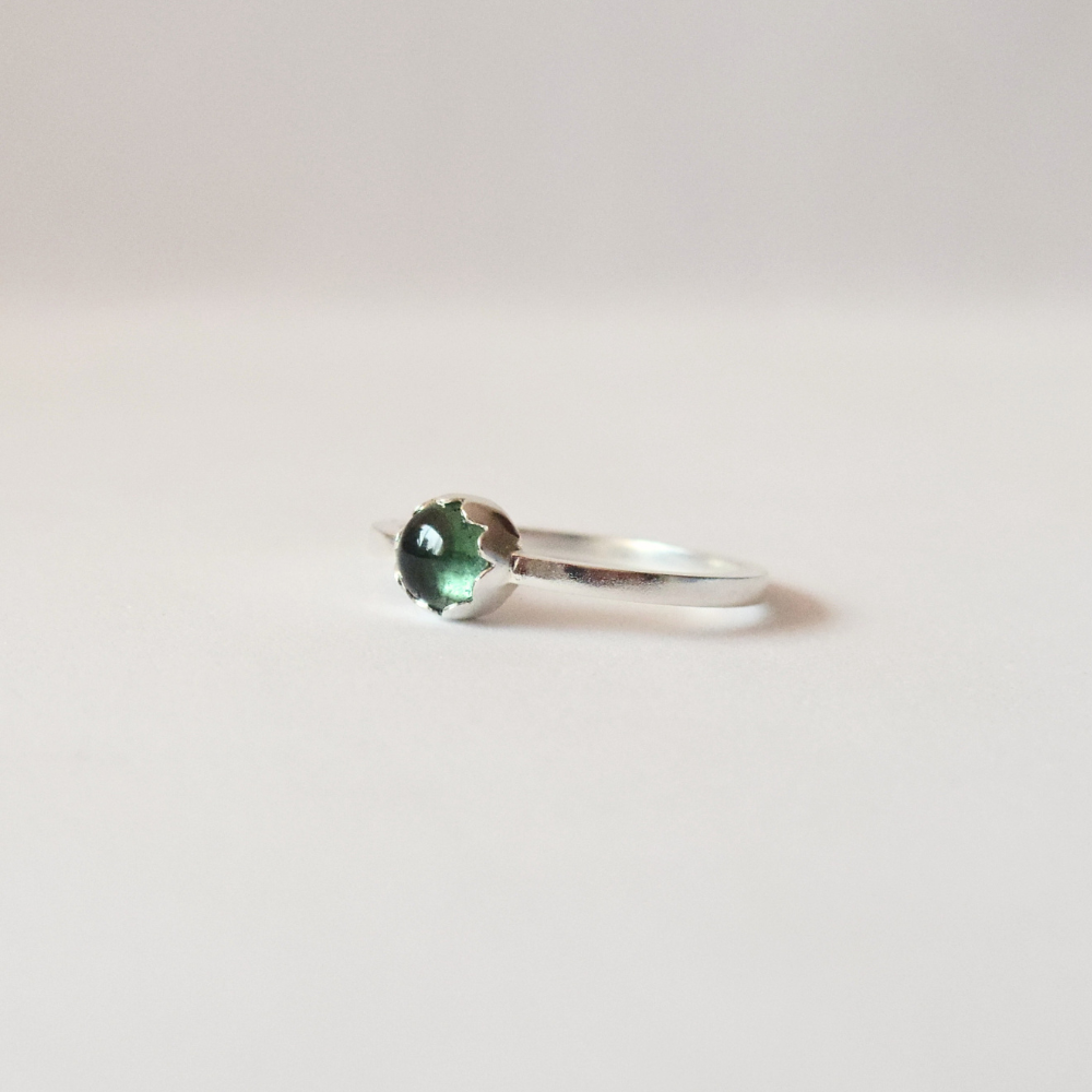 Anillo Jardín