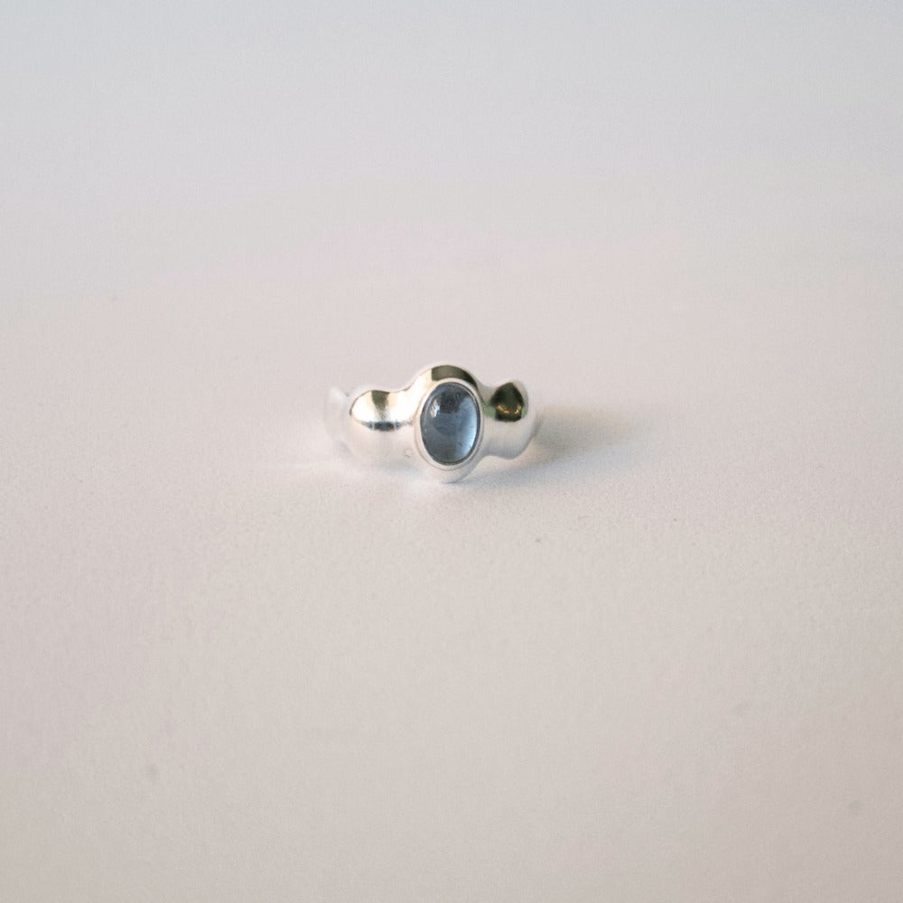 Anillo Olas