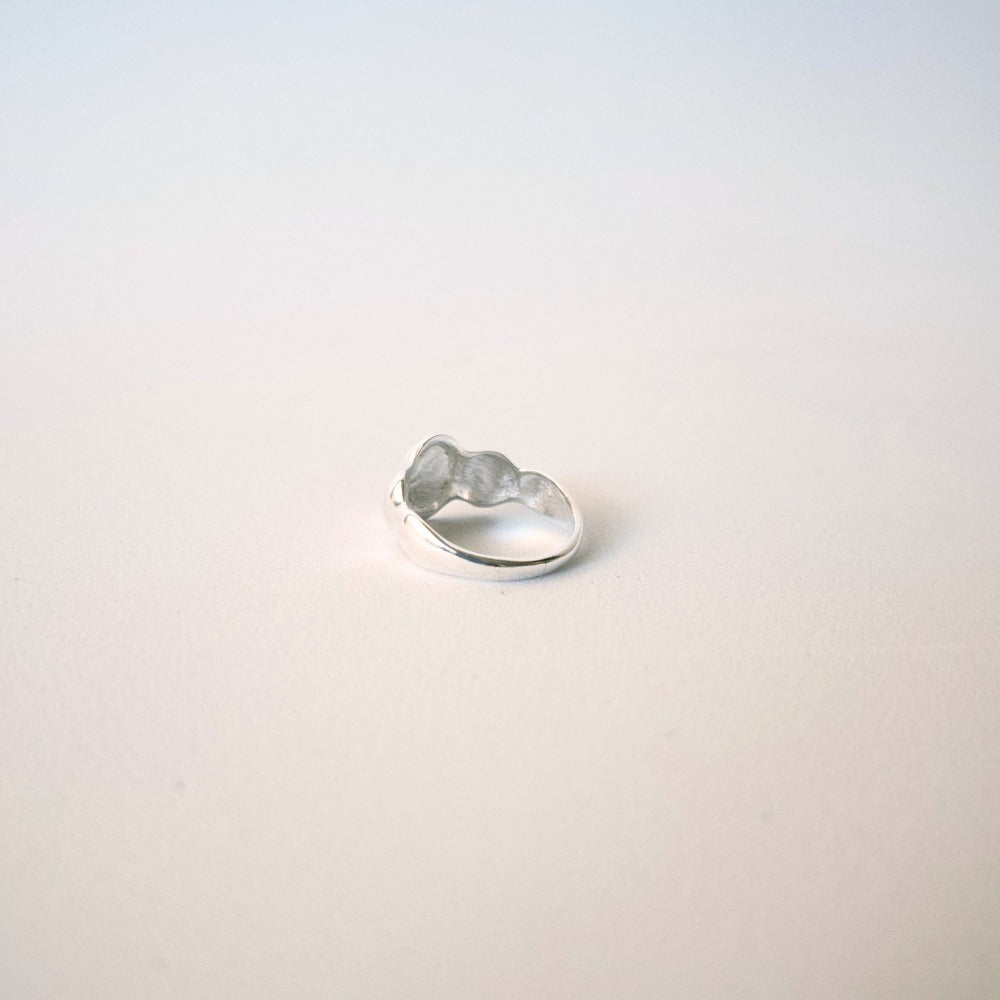 Anillo Olas